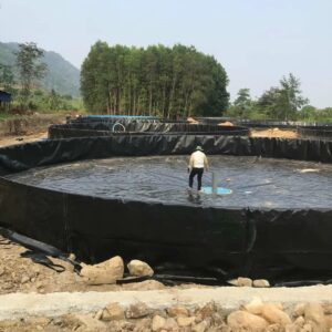 Màng chống thấm 0.65 -0.7mm/lá